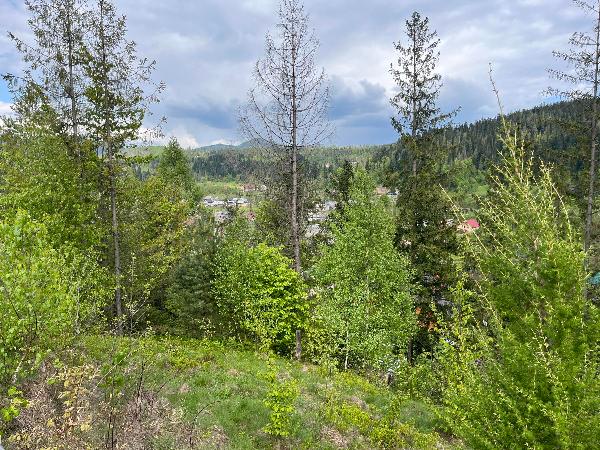  - фото нерухомості